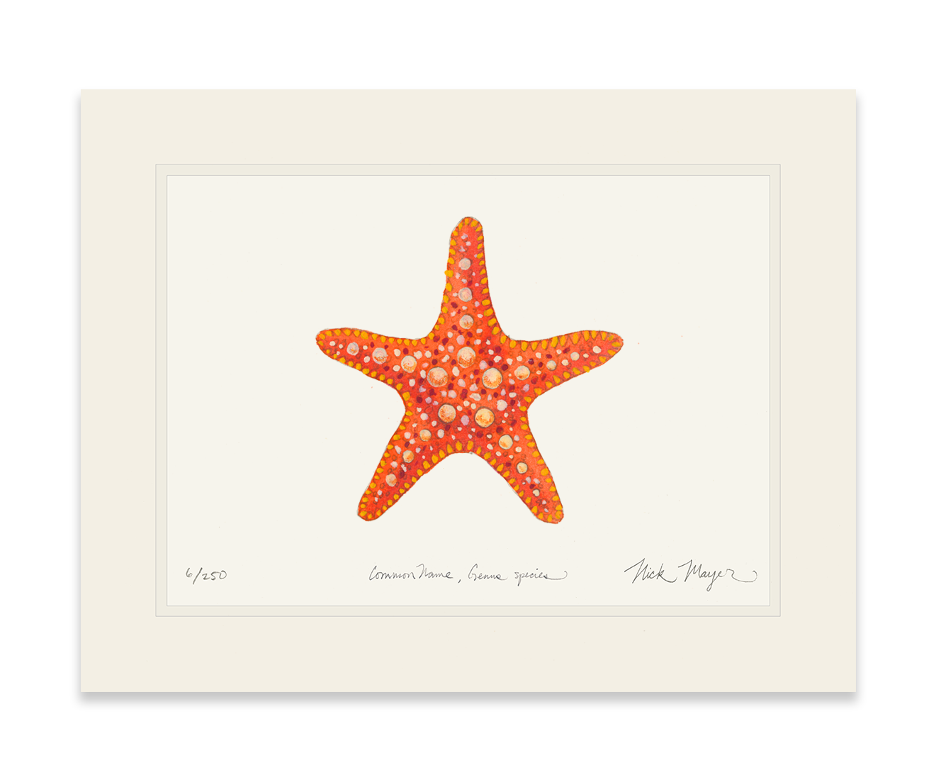 Nick Mayer Art - Wholesale Art Print - Horned Sea Star Limited Edition Print7