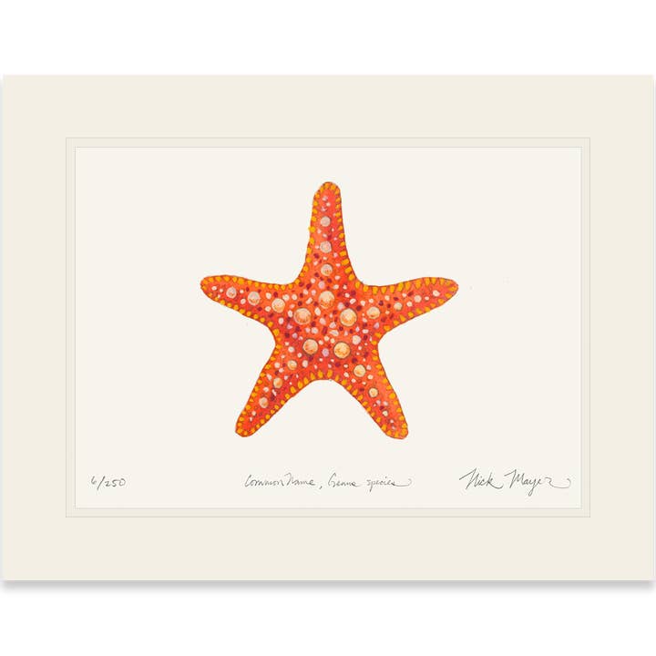 Nick Mayer Art - Wholesale Art Print - Horned Sea Star Limited Edition Print7