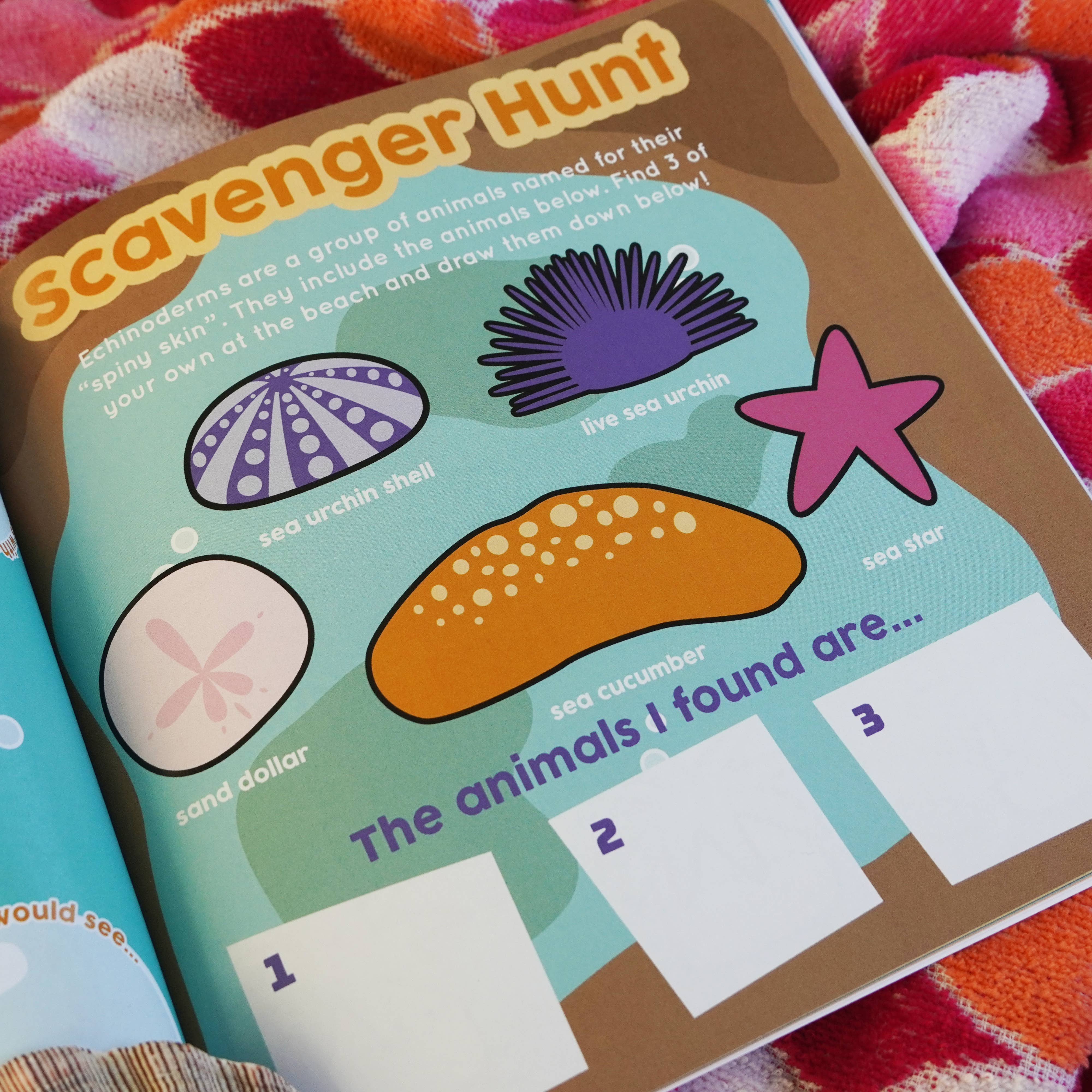 Environerd - Wholesale Early Reader Book (6-8) - Sea Everything: An Ocean Discovery Journal7