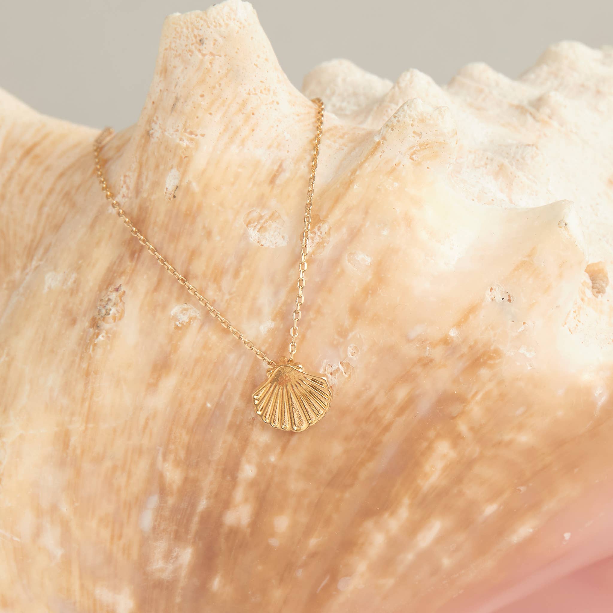 Howard's - Vente Colliers à pendentif - Soldes - Collier à pendentif Elsie & Zoey Delicates, bijoux de plage2