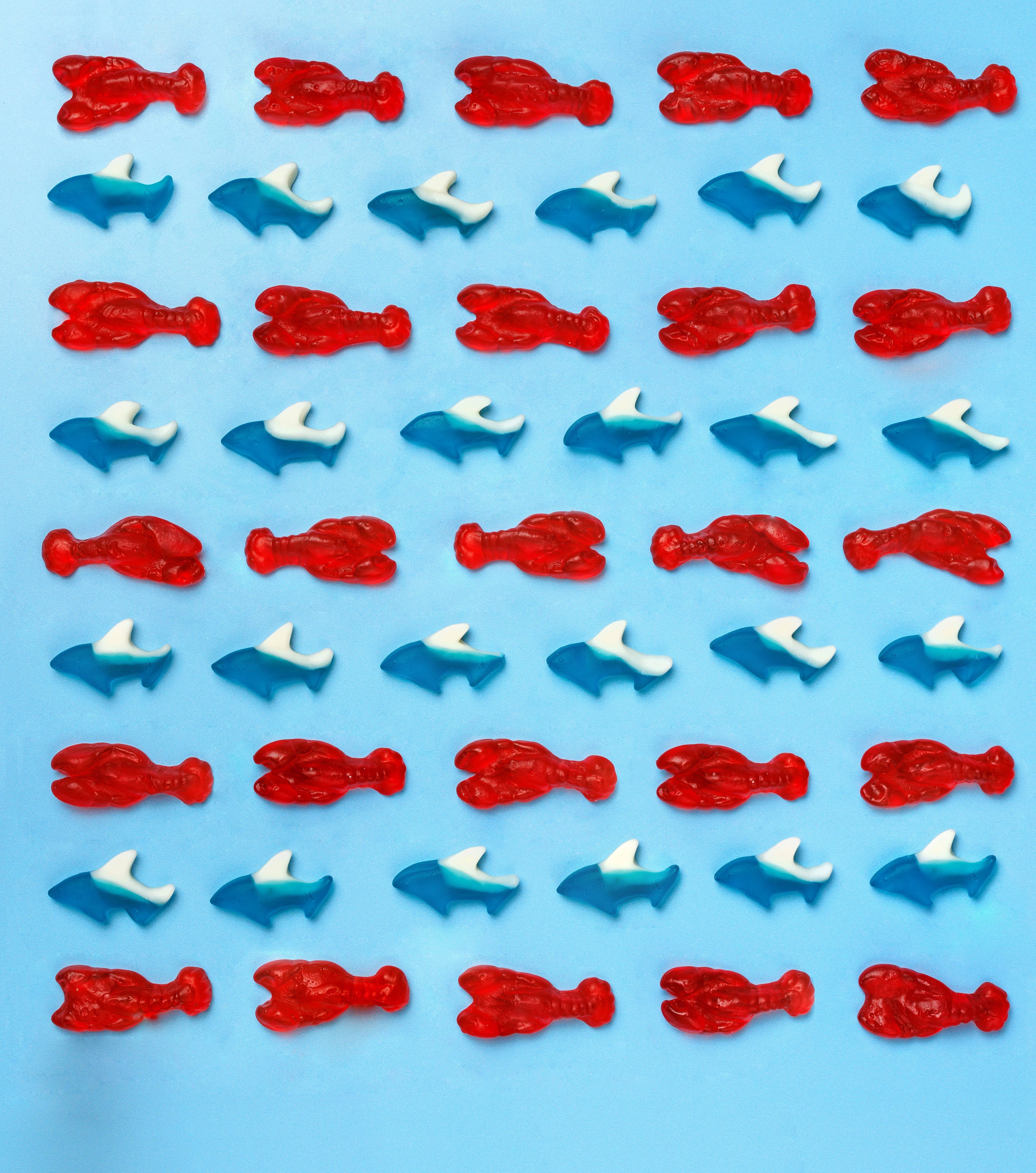 Candy Club - Wholesale Gummy - Sea Sharks3