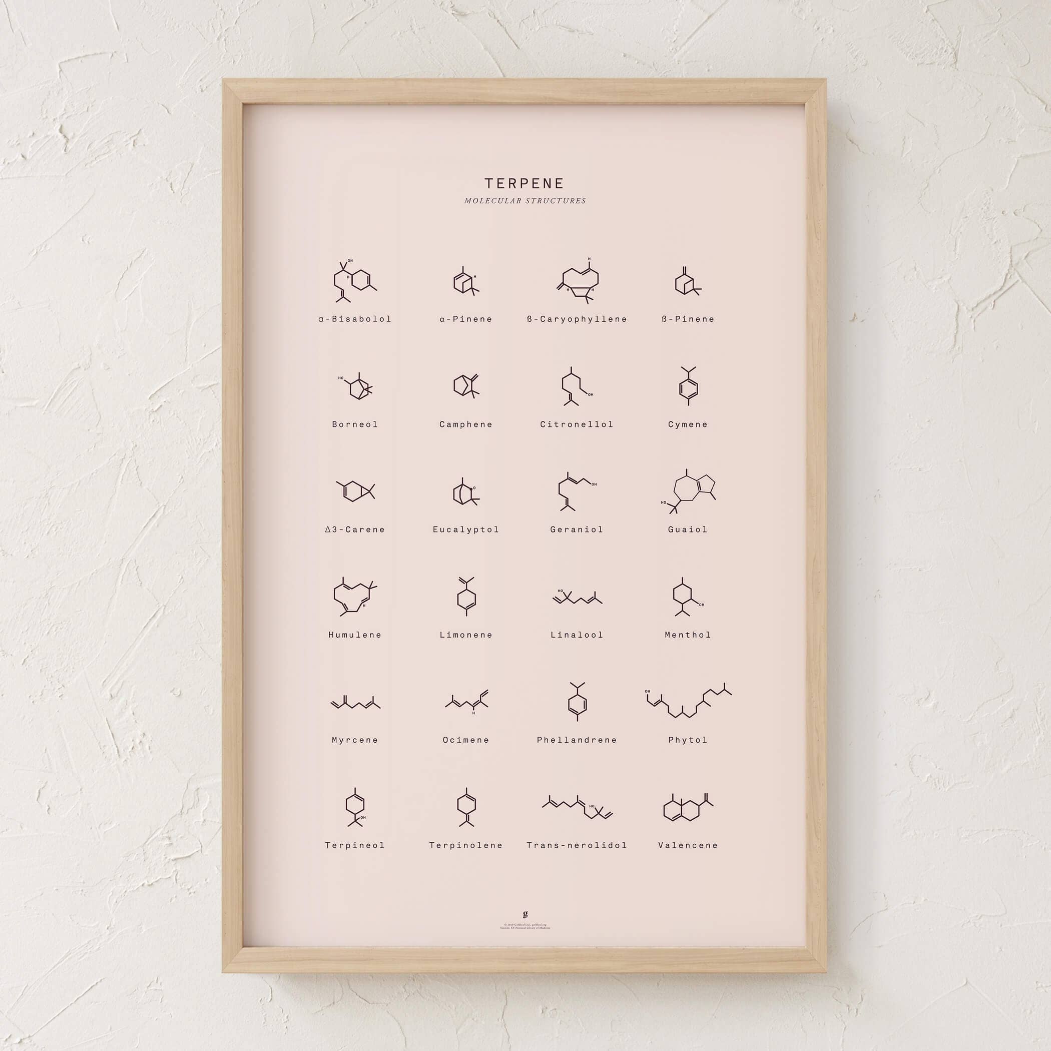 Goldleaf – Großhandel Kunstdruck – Diagramm mit molekularen Terpenstrukturen drucken9