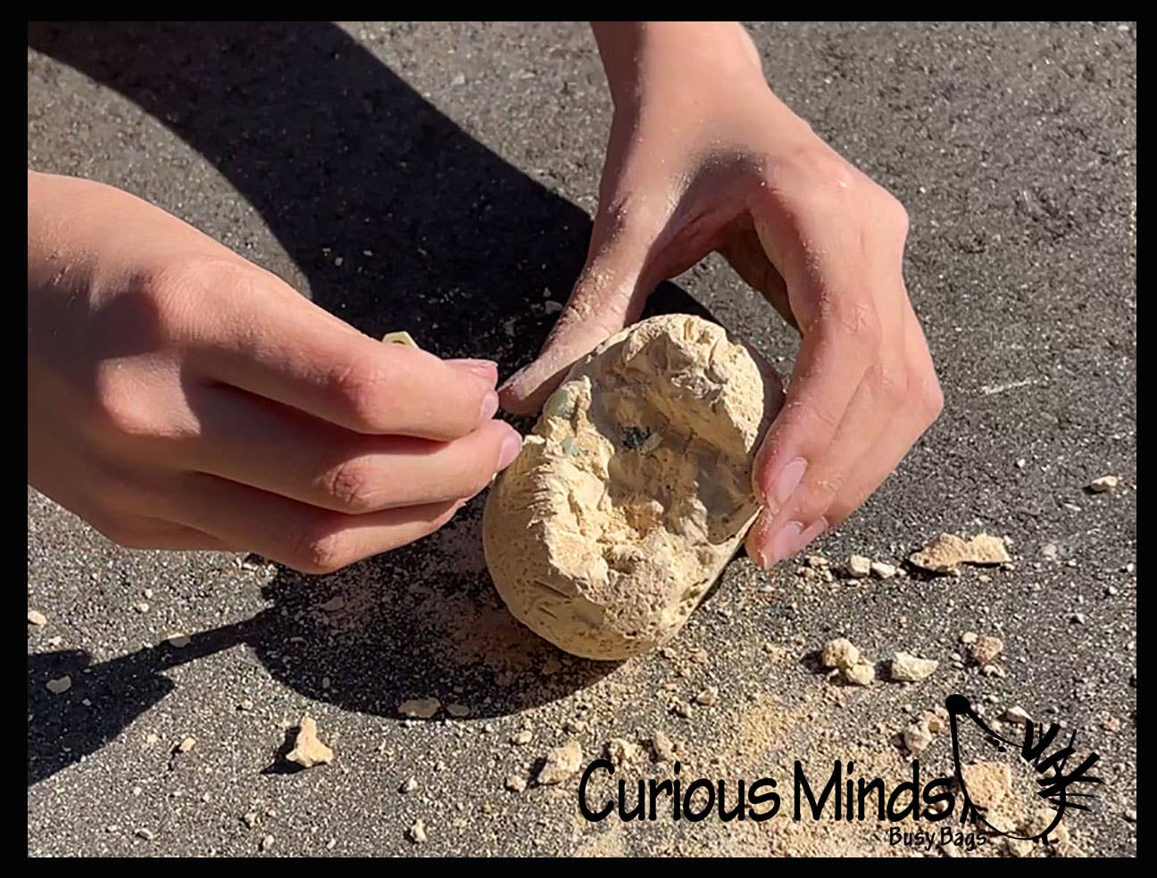 Curious Minds Toys – wholesale Figurleksak - Barn – 1 Dinosaur Fossil Excavation Gräv ägg - Upptäck Dino Fossil 12