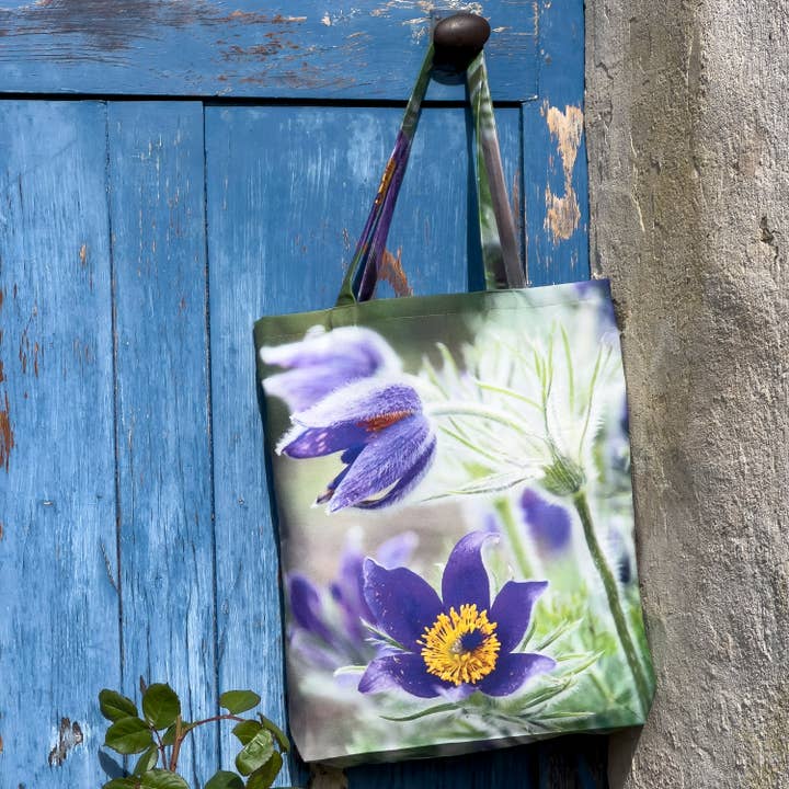 Blomma Tygväska - Pulsatilla Anemone för wholesale av Maron Bouillie