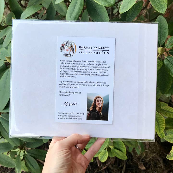 Rosalie Haizlett Illustration - Wholesale Art Print - Seneca Rocks Watercolor Art Print4