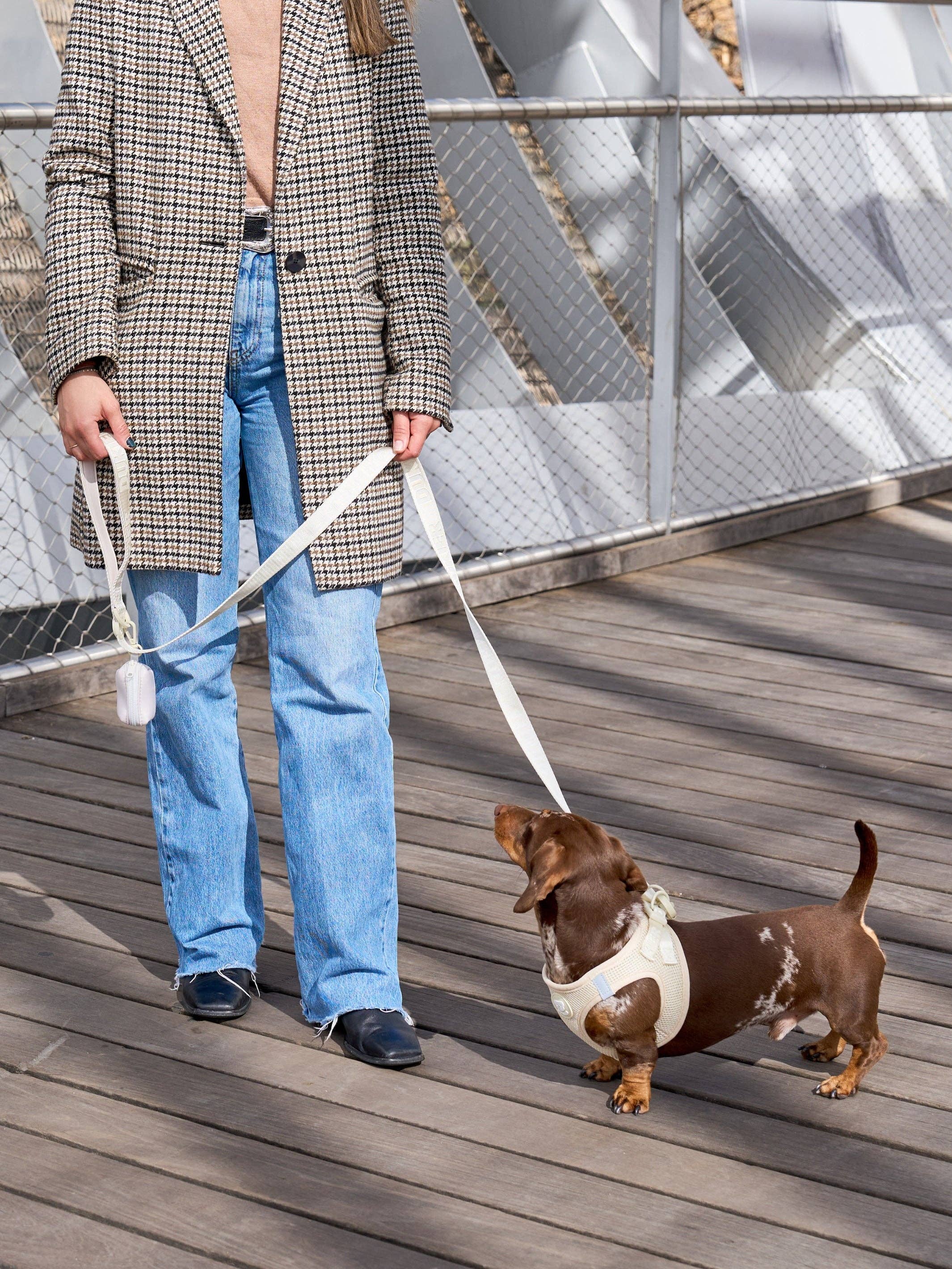 Dukier - Wholesale Pet Leash - Dog - BEIGE DOG LEASH2