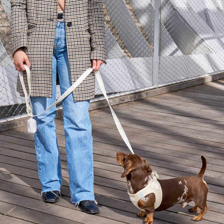 Dukier - Wholesale Pet Leash - Dog - BEIGE DOG LEASH2