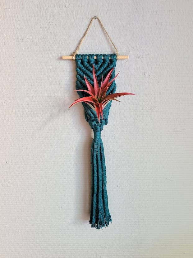 Colgador de plantas de aire, cola de sirena con cordón, esmeralda profunda para venta al por mayor de Mother of Pearl Handmade Goods