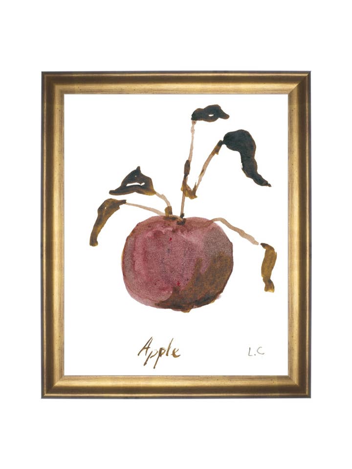 maçã por atacado de Splendus