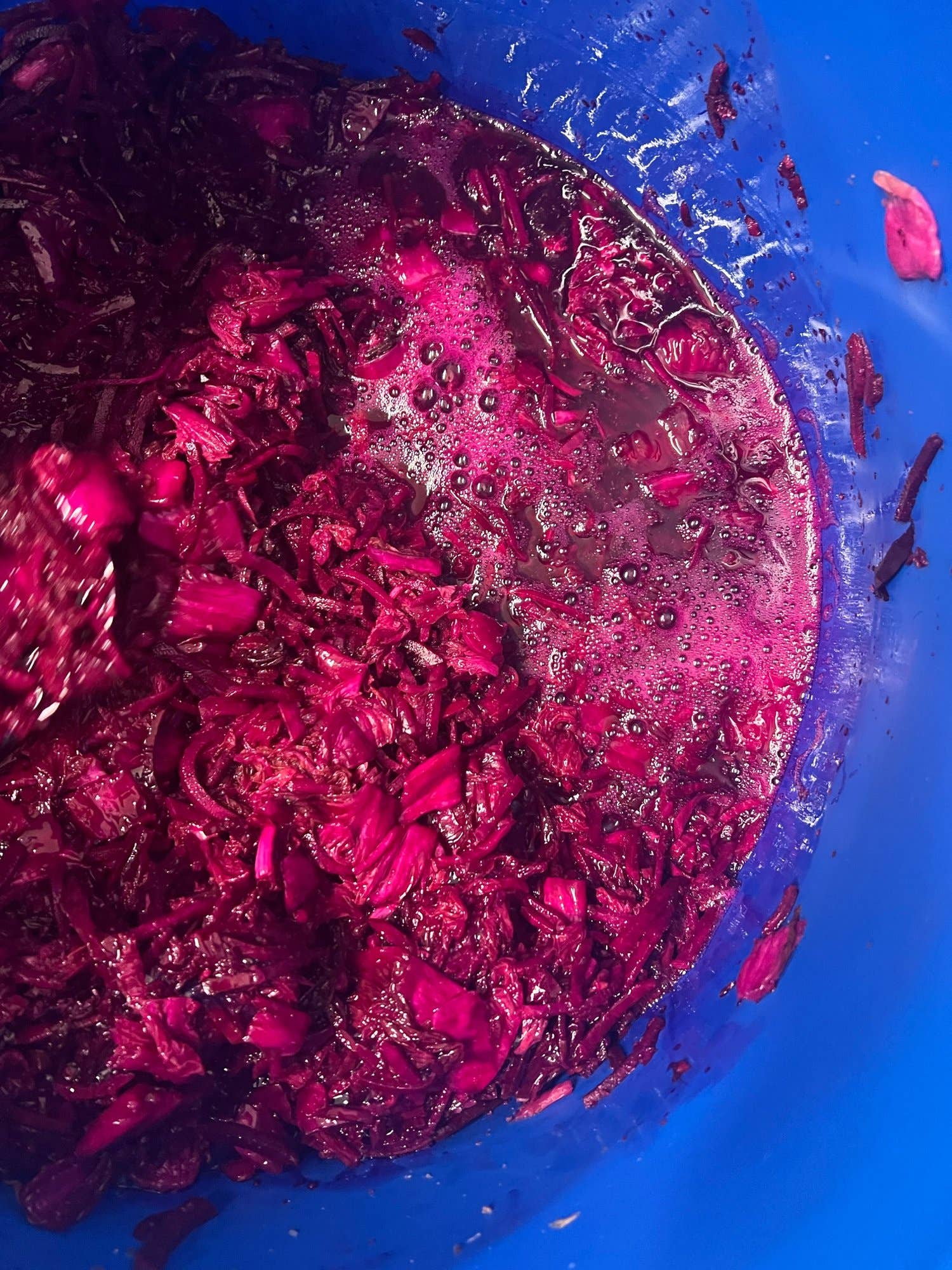 Kimchi and Radish – wholesale Salad dressing – Beetroot Kimchi Tonic 500ml2