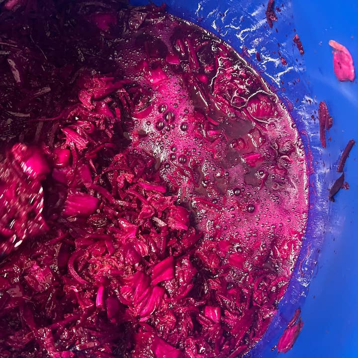 Kimchi and Radish – wholesale Salad dressing – Beetroot Kimchi Tonic 500ml2