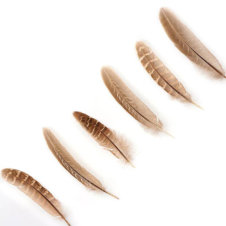 Zucker Feather Products - Wholesale Craft Supplies - Ringneck Feathers Pheasant Rounds - Natural