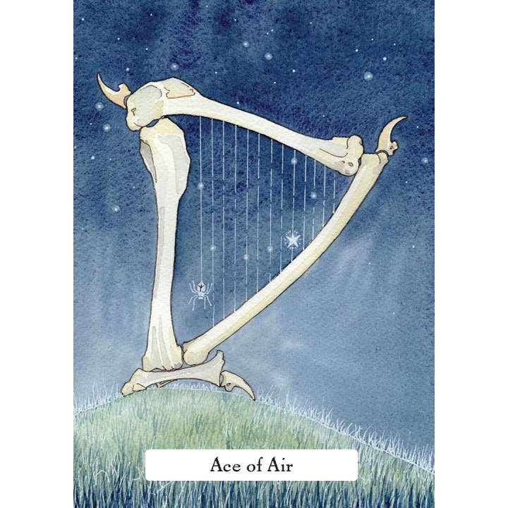 Cardshouse - Wholesale Tarot Cards - The Witches Wisdom Tarot Cards Hay House (Standard Edition)1