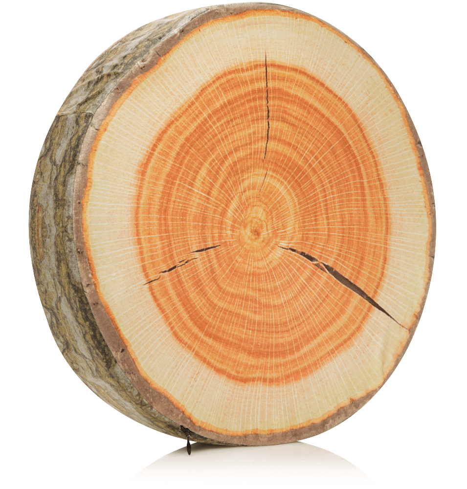 Husband Pillow - Vendita all'ingrosso Cuscini per letto - 360 - FETTA-REGISTRO-MAPL10