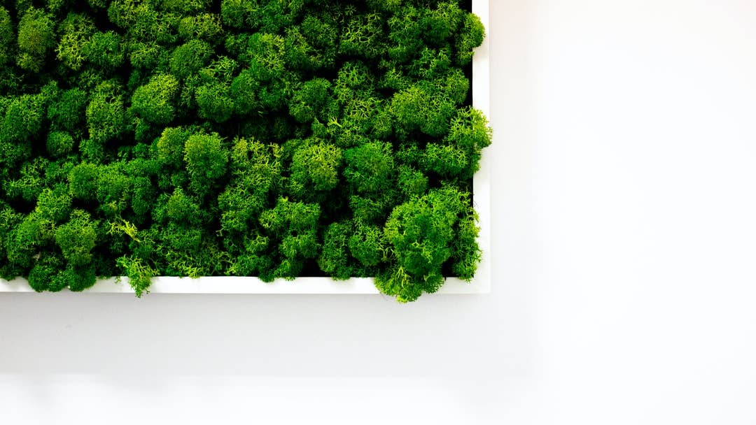 faithbook - Wholesale Wall Accent - Preserved Moss Wall Art Picture - CLOCK Mark 1:152