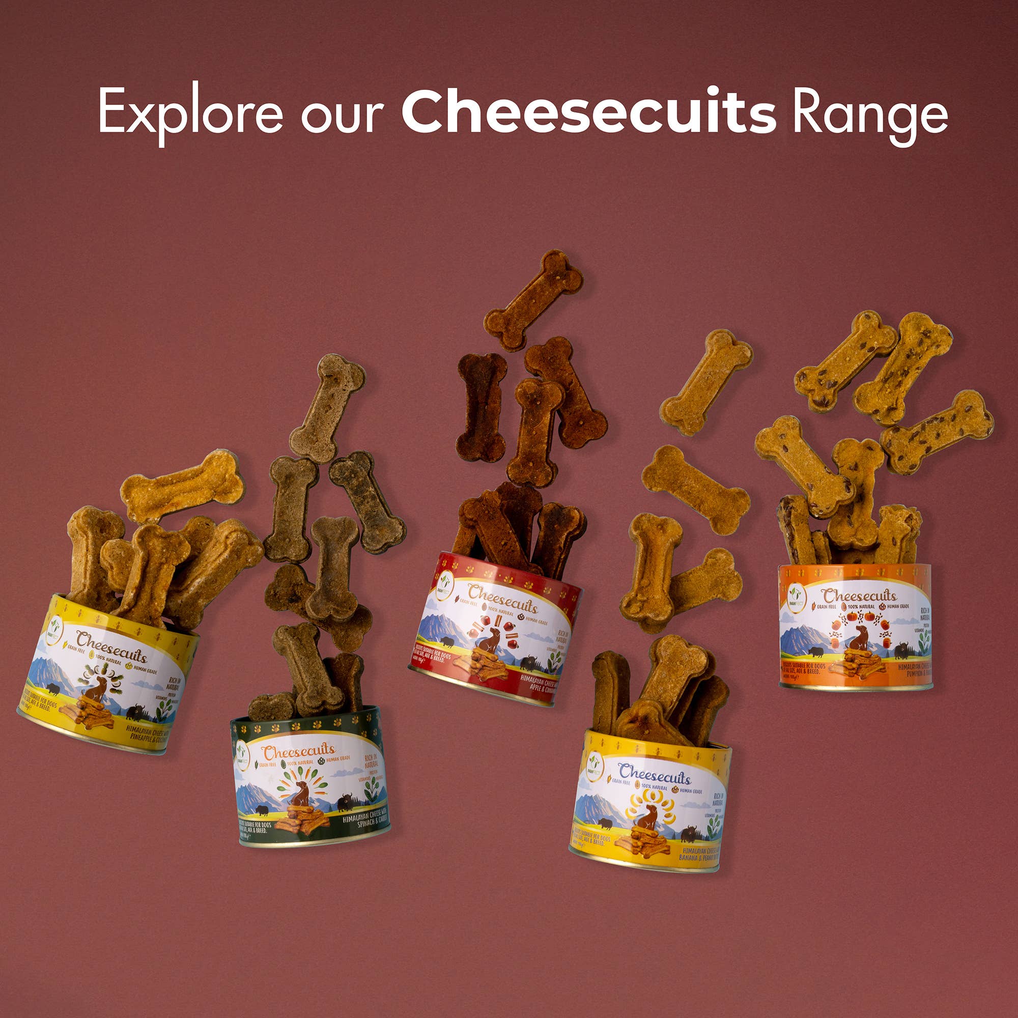 Pawfect Foods - Venta al por mayor Chuches - Perros - Pawfect Cheesecuits | Galletas de queso con manzana, huevos y canela para perros | Premios de entrenamiento totalmente naturales | Premios de alta proteína | Sin cereales | Hipoalergénico (100g/3.53oz)5