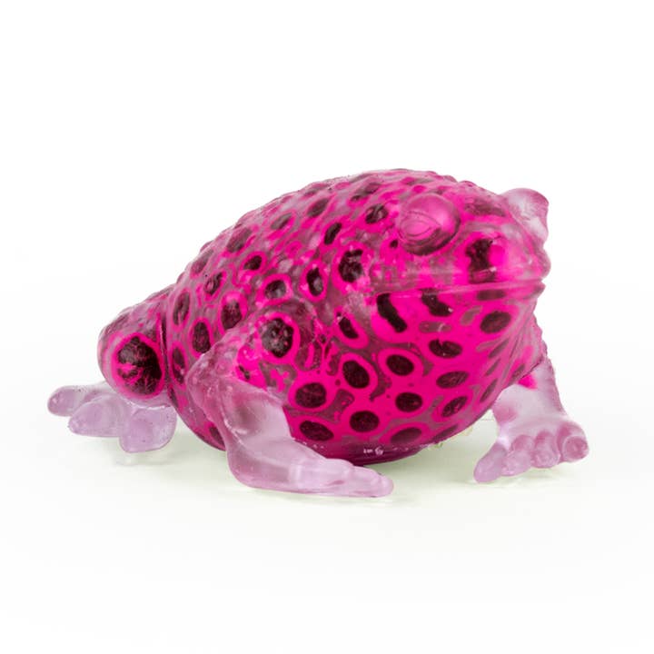 Keycraft - Wholesale Squishy Toy - Kids & Baby - Keycraft Beadz Alive Sensory Frog Toy7