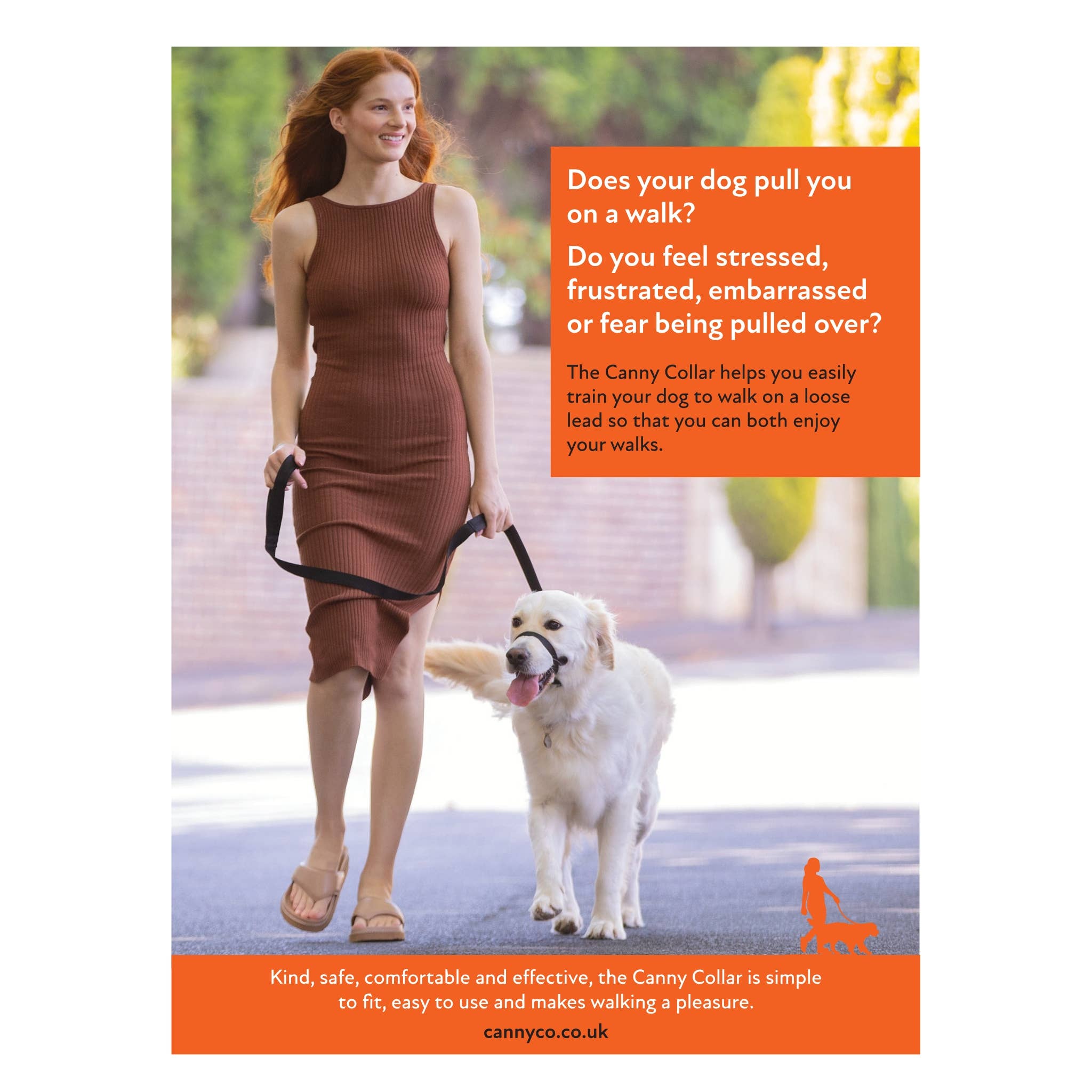 The Canny Company – wholesale Pet collar – Dog – Canny Collar Starter Kit | 10 Units, Best Selling Sizes1