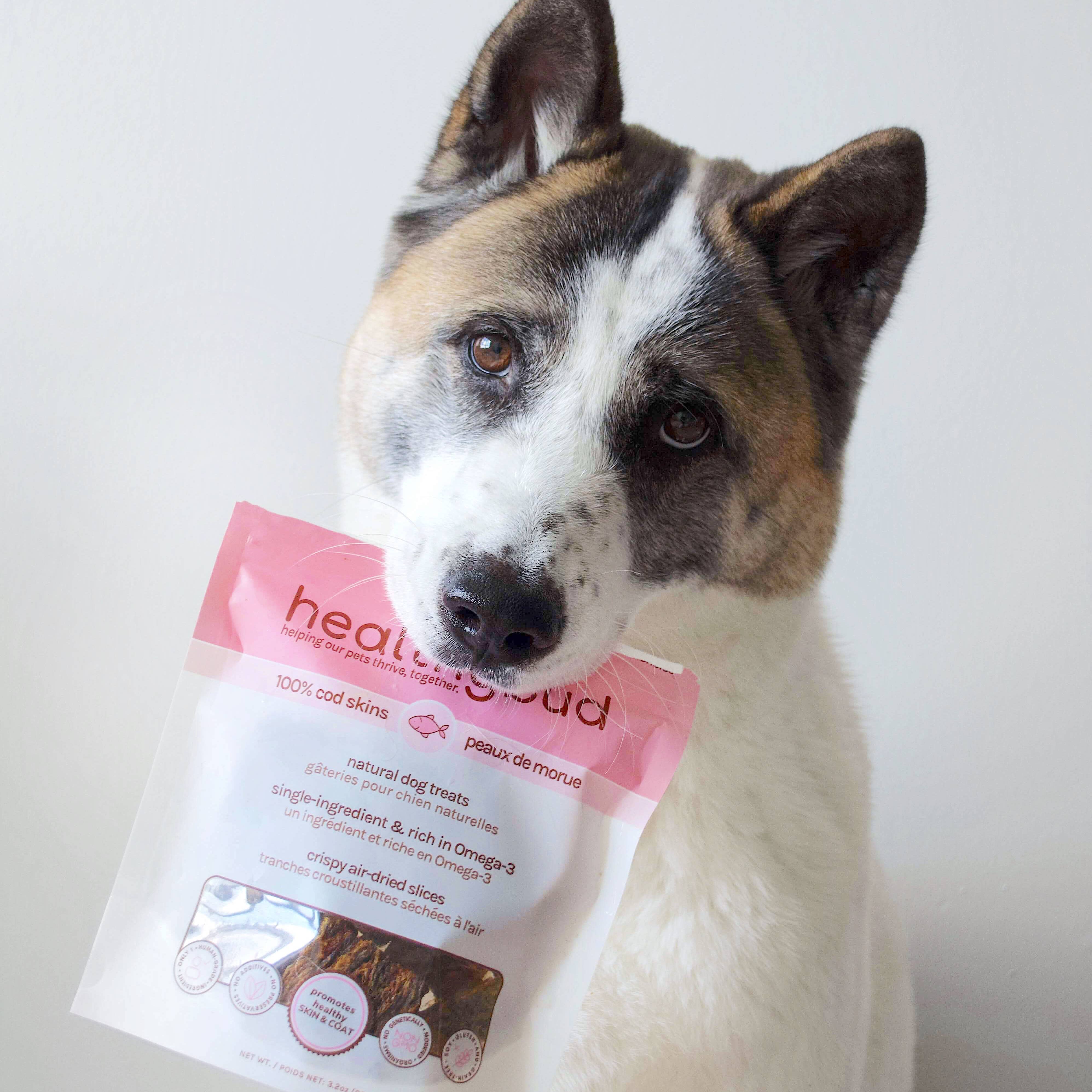 Healthybud - Wholesale Pet Treats - Dog - Healthybud's Single-Ingredient Cod Skin Cube Dog Treats3