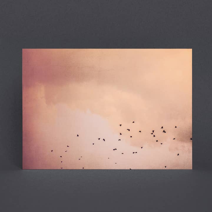 Justepixx - Wholesale Postcard - Postcard birds in the sky A63