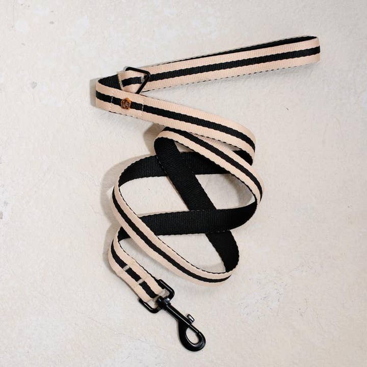 Saint Rue - Wholesale Pet Leash - Dog - Le Classic Dog Leash14