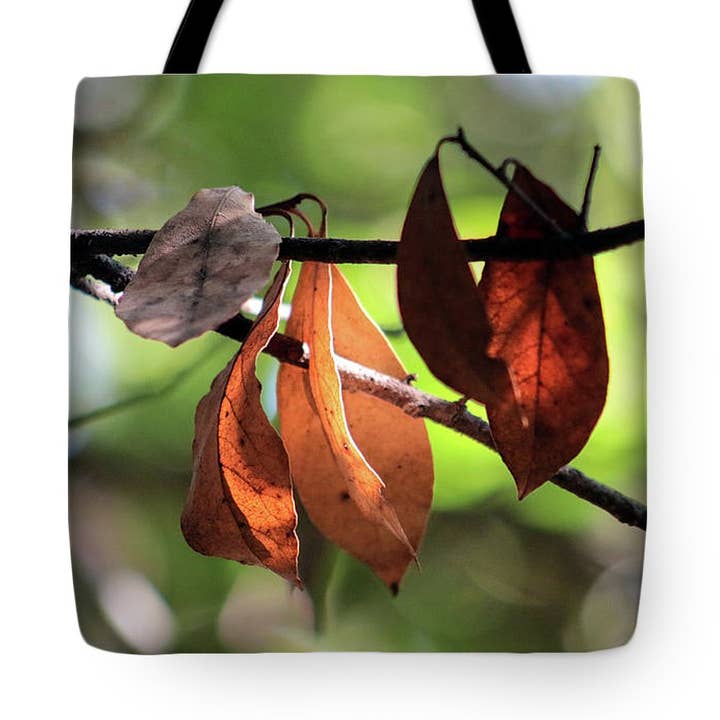 TOTE BAG - THE AUTUMNALL TREE'S LEAVES TOTE BAG for wholesale by sorayadapuzzostore