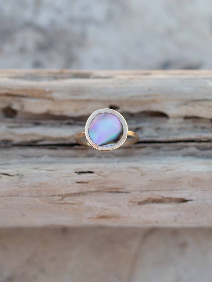 Paua Ring 12 mm for engroshandel hos Pelican House