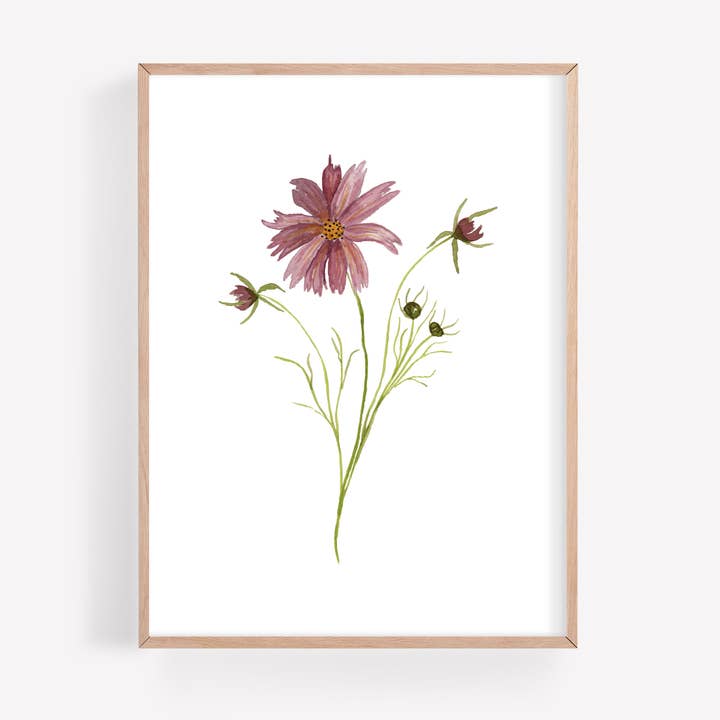 Impression d'art aquarelle Purple Cosmo pour la vente par Farmcliff Studio