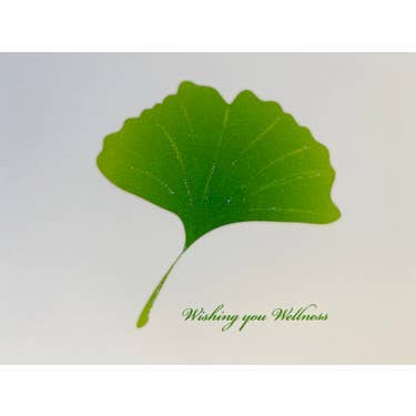 Studio Daedre - Wholesale Get Well Card - Ginko Get Well Card - Boxed Note Cards0