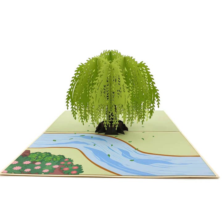 Color Pop Cards - Wholesale Everyday Greeting Card - Willow Tree 3D Pop Up Card