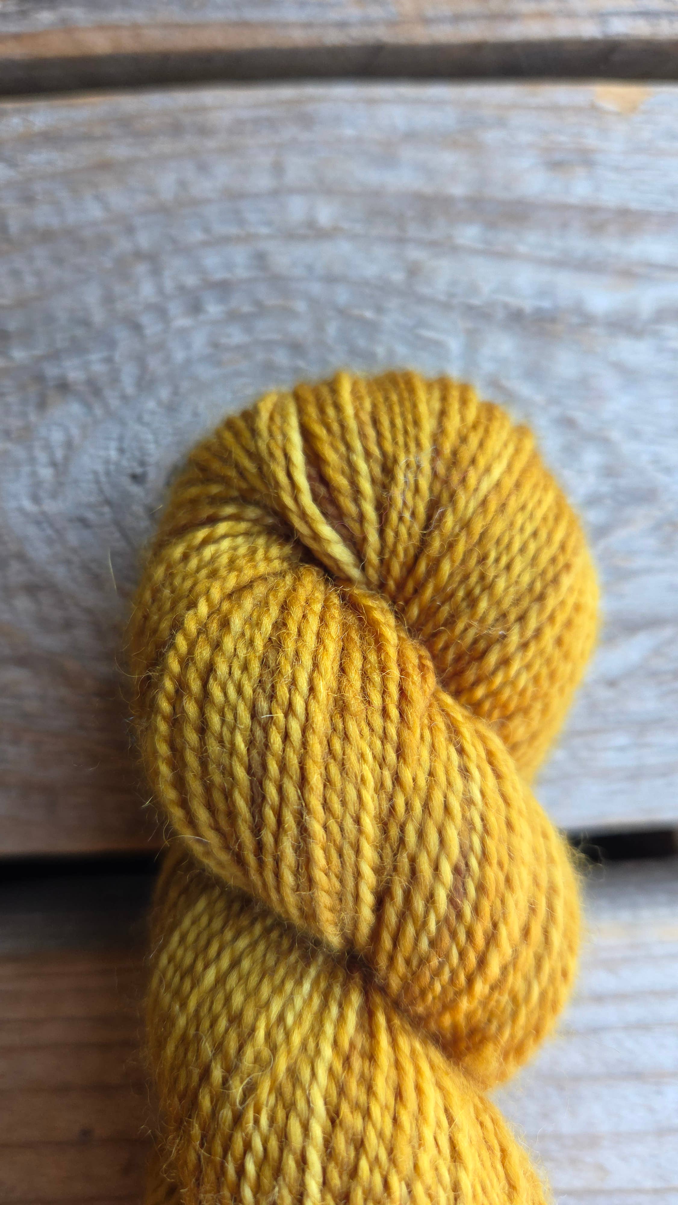 Koigu Wool Designs - Vendita all'ingrosso Lana - Palette KPM del Ringraziamento (filato merino fingering)0