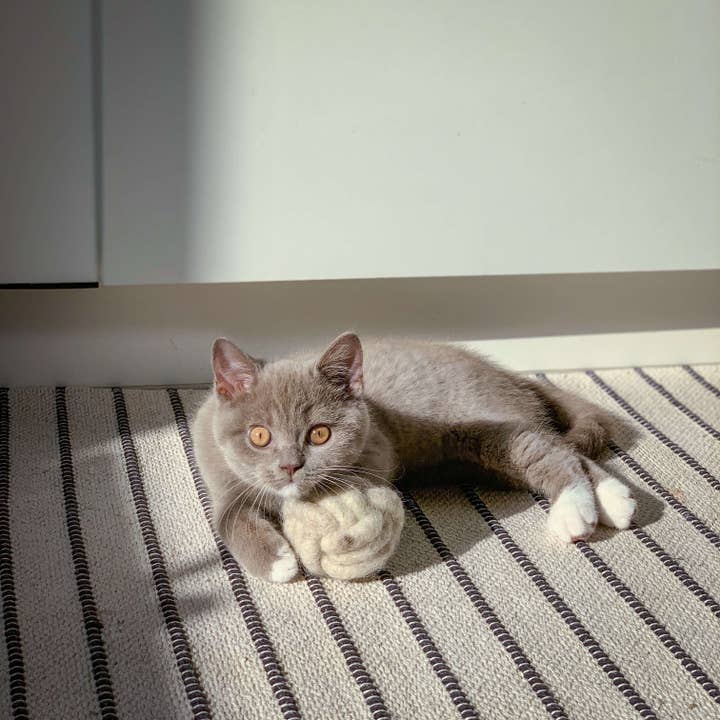 The Catery – Brinquedo - Gato por atacado – bola lobby para gatos de lã natural pura3