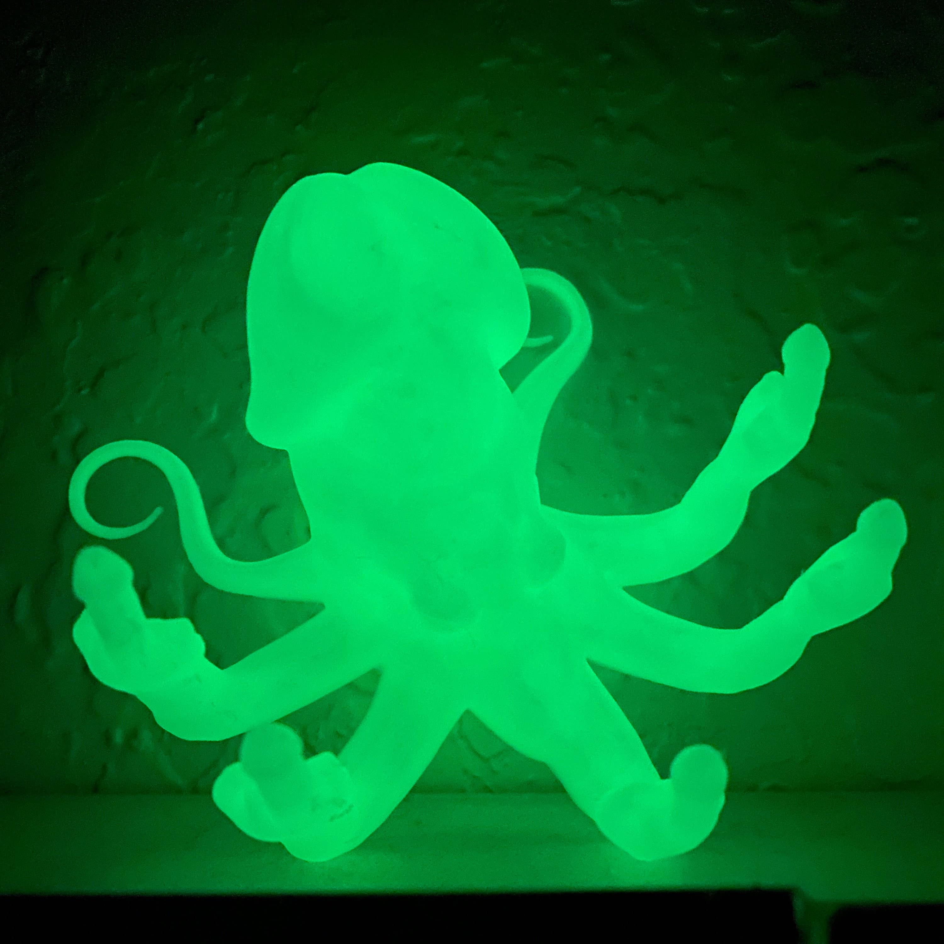 NumanPrints - Wholesale Gag Gift/Novelty Gift - Fucktopus Dickhead Angry Octopus Penis Middle Finger7