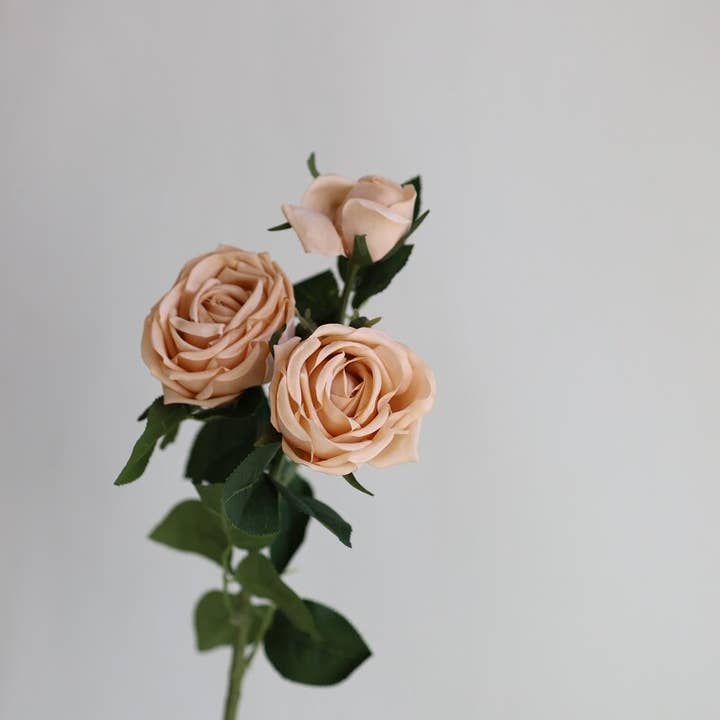 Angel Isabella - Wholesale Artificial Flowers - 28.75"-Elegant Fall theme Real Touch Cabbage Rose