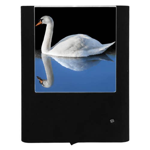 Swan 2 for wholesale by Nightlight Studio