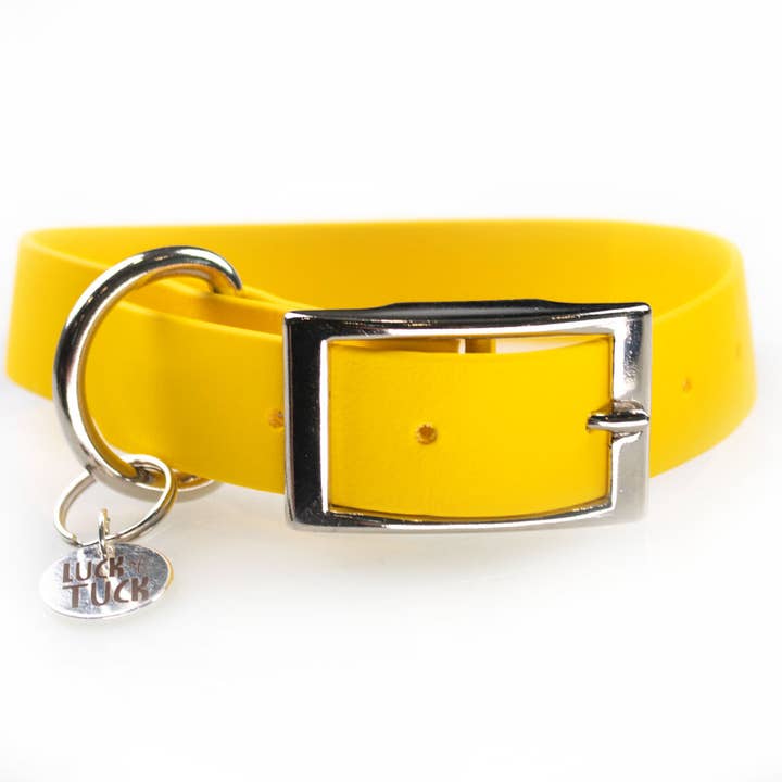 Yellow Waterproof Dog Collar for wholesale by LUCK OF TUCK