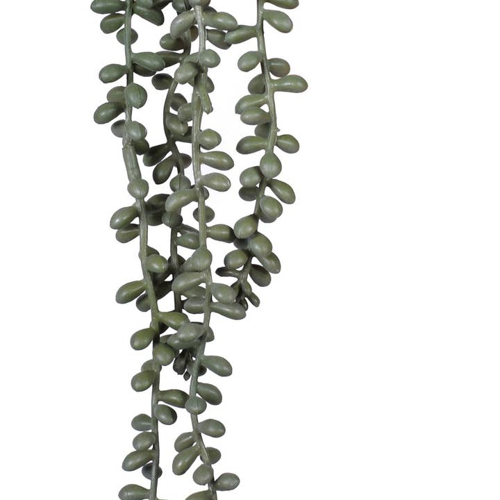 Pic à sedum suspendu de 14 po, protégé contre les UV SE1035UV pour la vente par Replica Plants and Decor