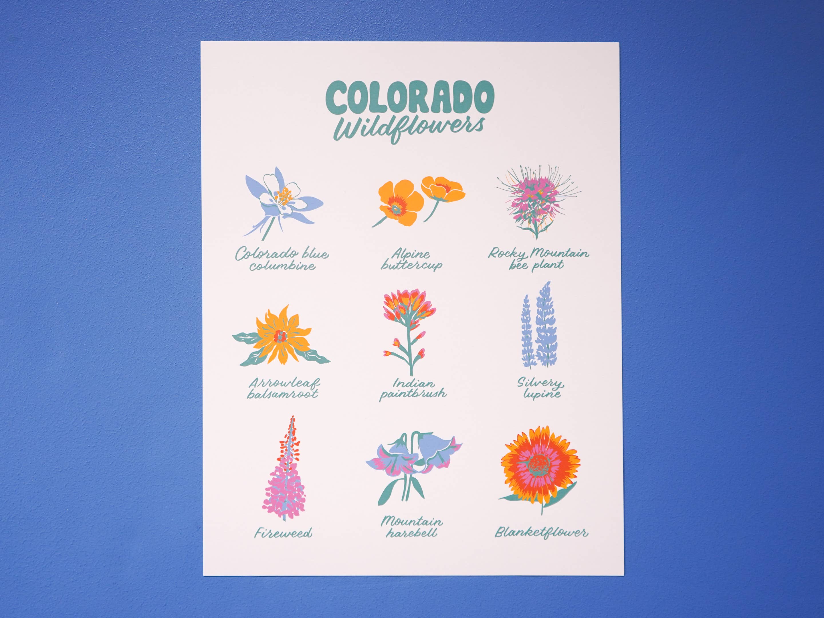 Little Known Goods - Wholesale Art Print - Colorado Wildflowers Print1