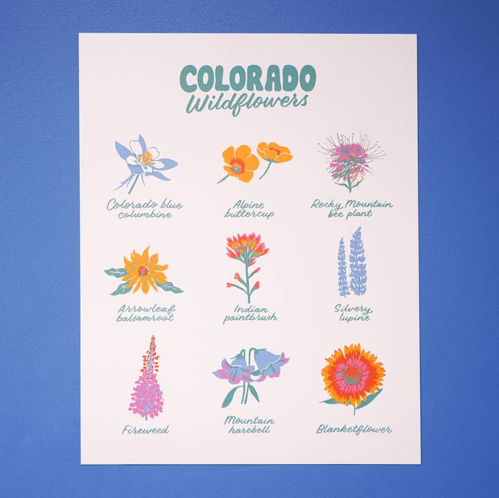 Little Known Goods - Wholesale Art Print - Colorado Wildflowers Print1