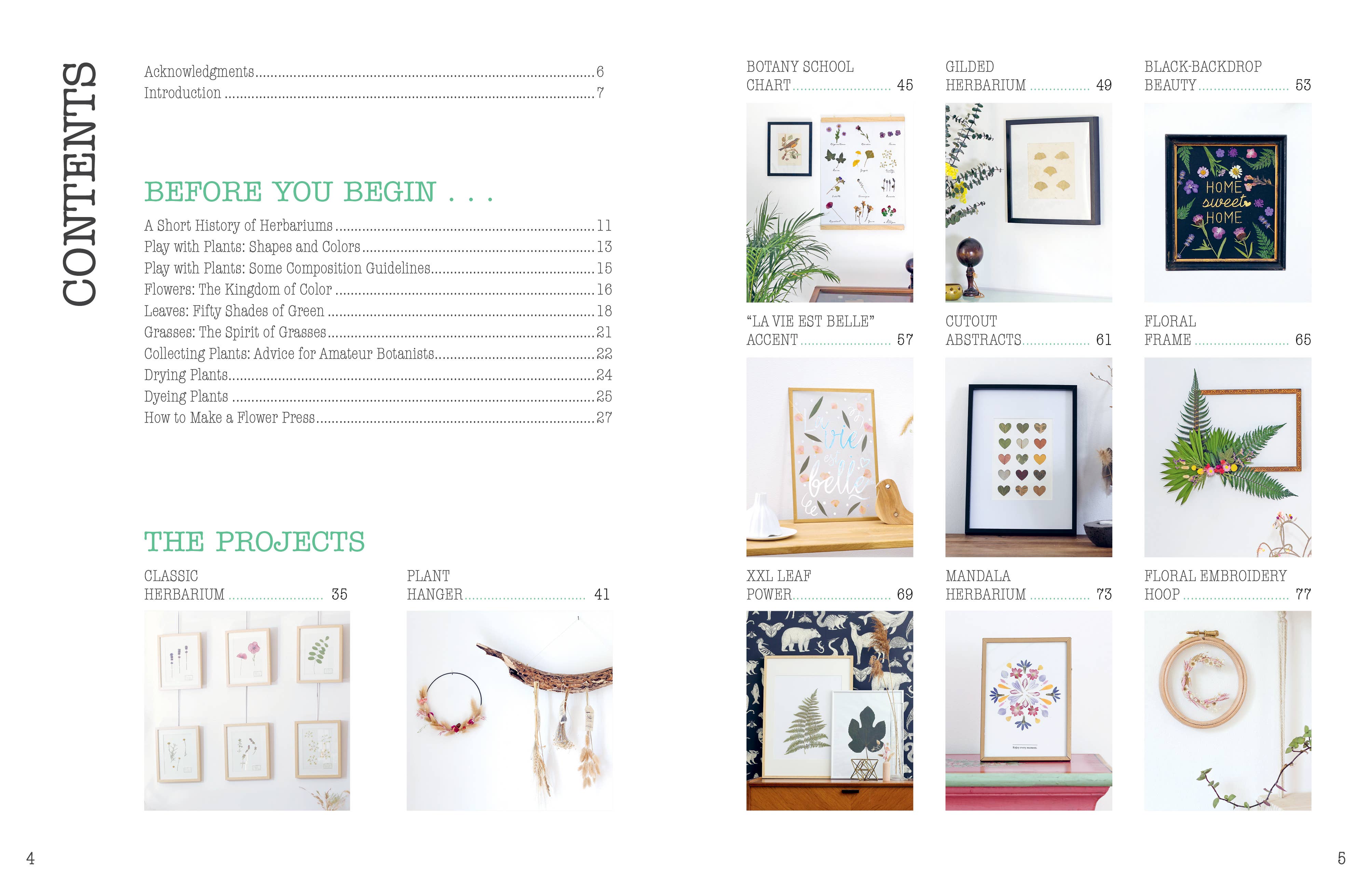 Schiffer Publishing - Wholesale Crafts, Hobbies & DIY - The Little Book of Flower Pressing8