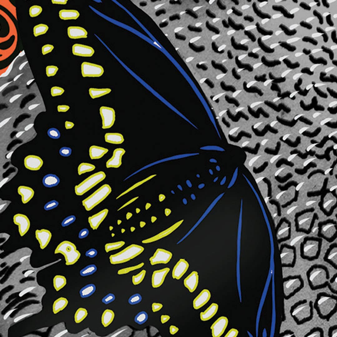 Sunny Days - Wholesale Love Card - Armadillo, Swallowtail Butterfly, & Indian blanket flowers3