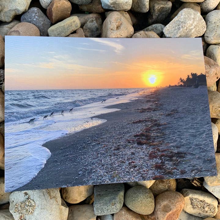 Carte Cabo Sunset 5x7 pour la vente par Tammy Helfrich Coaching