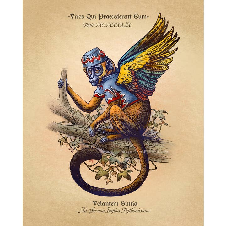 ChetArt - Wholesale Art Print - Flying Monkey Study 8" x 10" print
