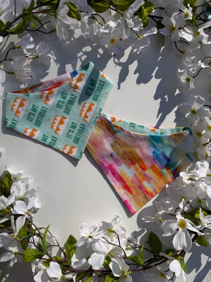 Bandana It's My Birthday per la vendita all'ingrosso da parte di The Pet Scout Shop