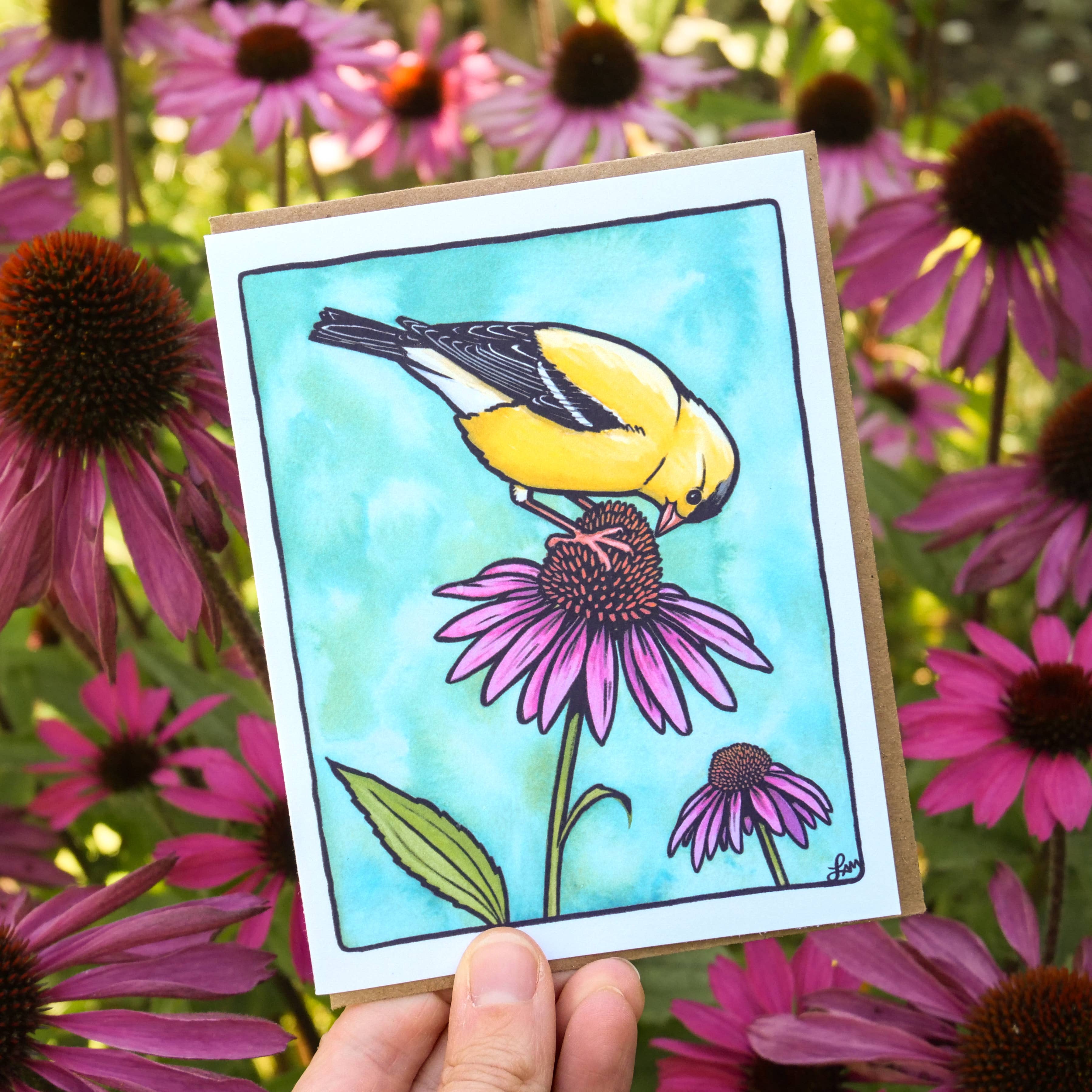 Laurel Mundy Illustration - Wholesale Everyday Greeting Card - Goldfinch on Coneflower Greeting Card 100% Recycled Paper1