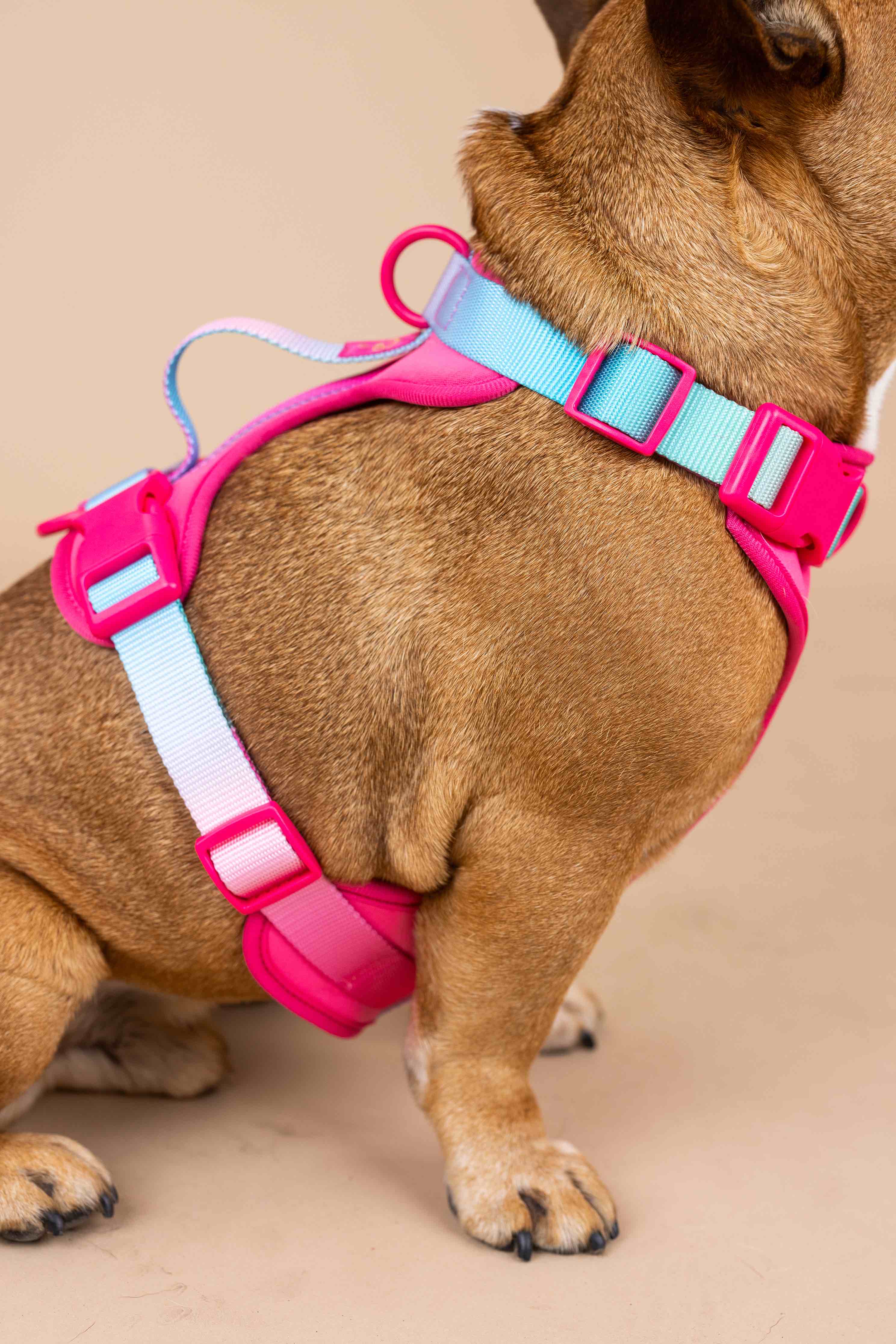 Pink Papyrus | Premium, Durable, & Stylish Dog Products - Wholesale Tuig voor huisdieren - Hond - Stasia hondenharnas | No pull hondenharnas in roze17