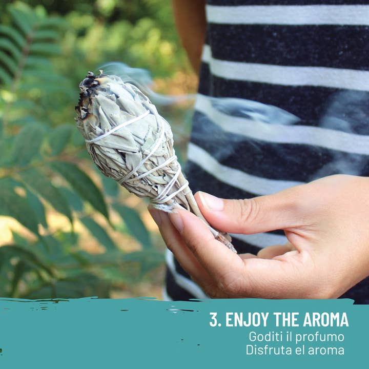 Herborea srl - Wholesale Sage Bundle - Palo Santo Kit - White Sage Smudge and 5 Palo Santo Sticks5