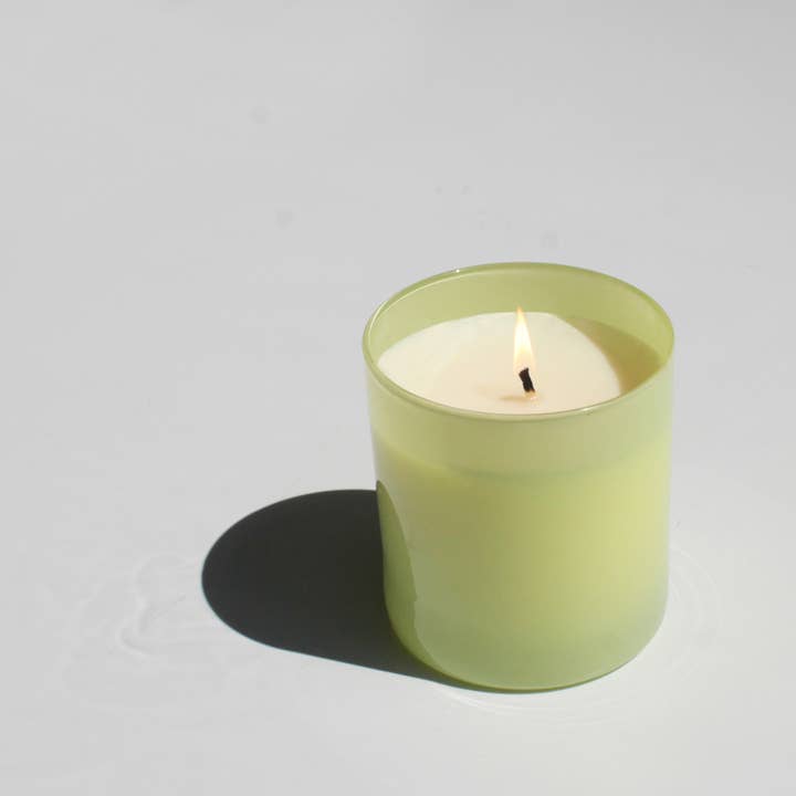 GP Candle Co. - Vendita all'ingrosso Candela in vasetto - Candela Hue da giardino da 9 once (Tomato Vine)2