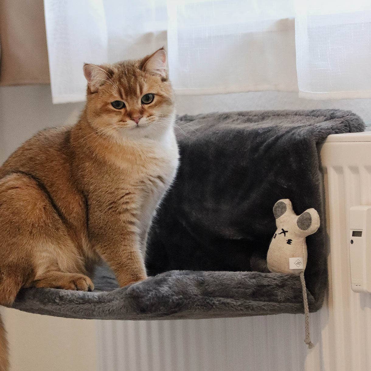 ne&no - Wholesale Pet Bed - Cat - ne&no® Cozy Radiator Bed for Cats - adjustable3