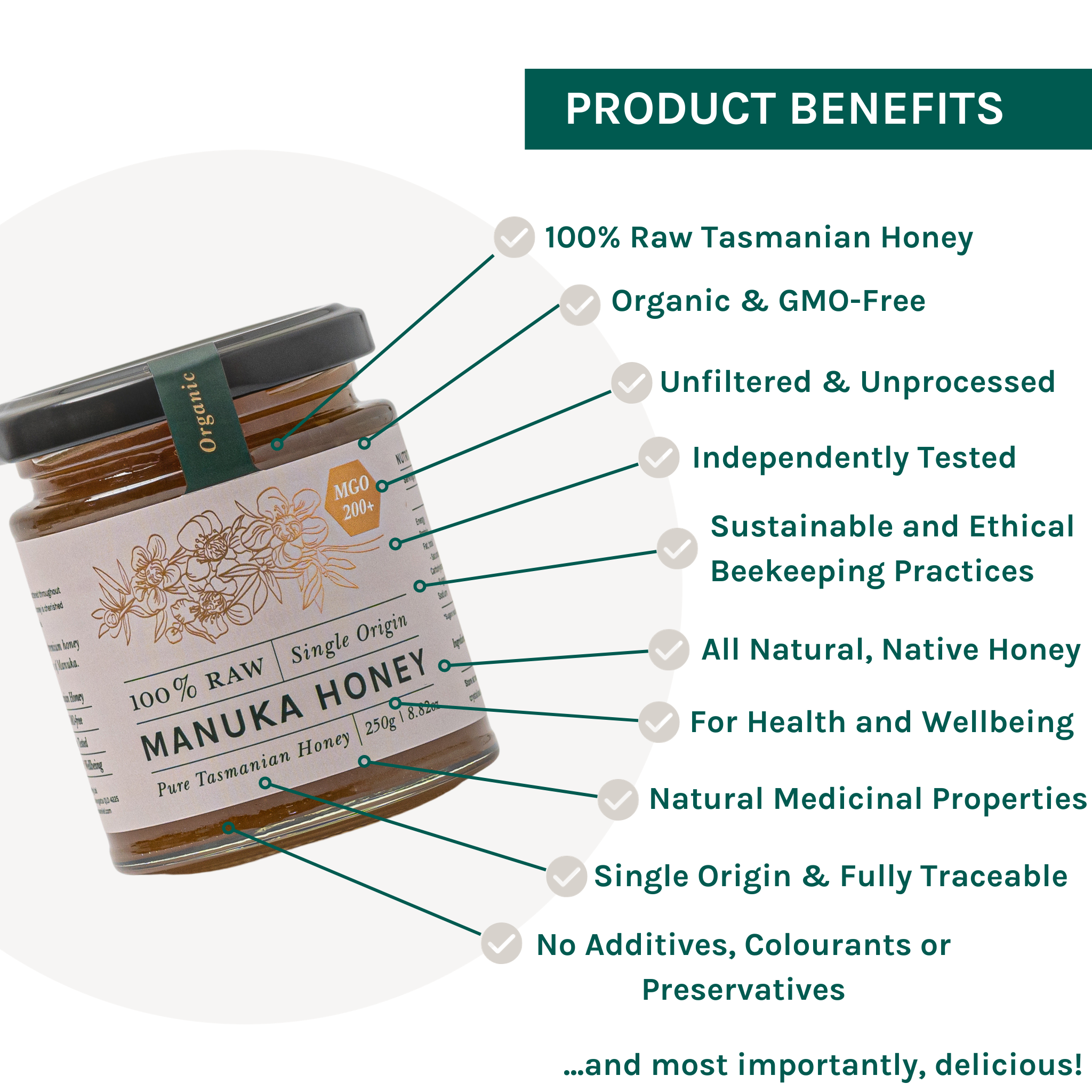 Zea - Wholesale Honey - Manuka Raw Honey [MGO 200+] - High Activity5